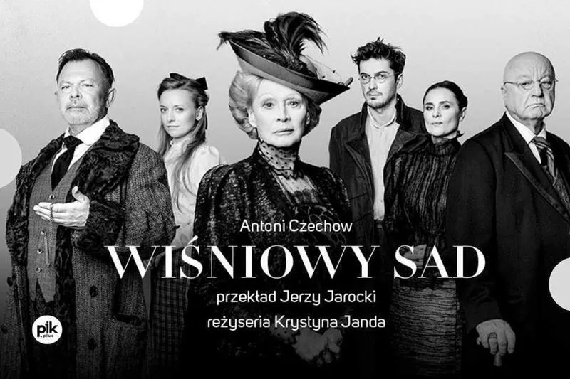 Malownicze zdjęcia wiśniowego sadu jako źródło inspiracji dla twórczych fotografów