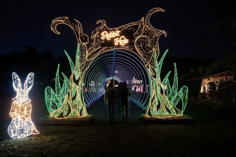 Odkryj magiczny świat świateł: iluminacja Poznań, która zachwyca i inspiruje