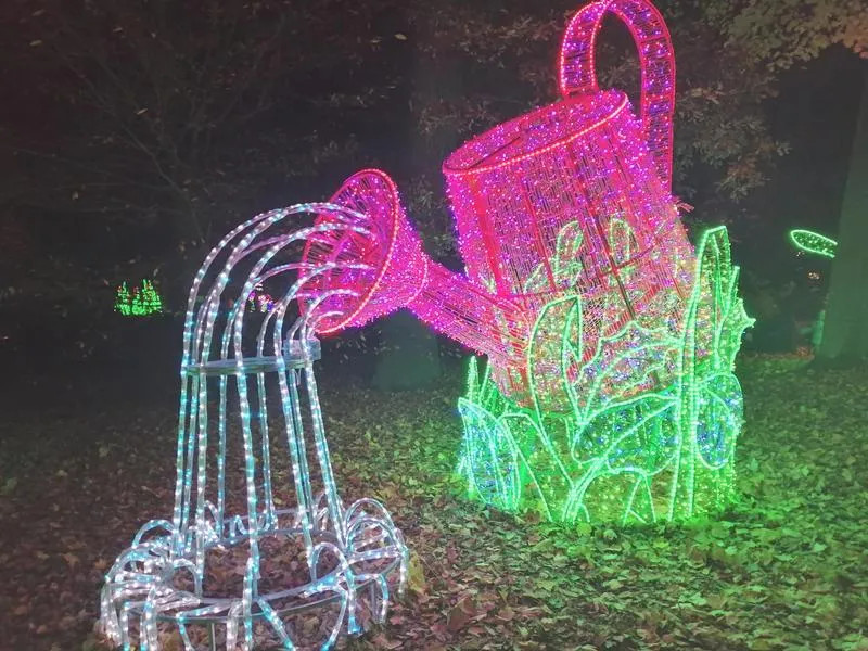 Magia świateł Poznań