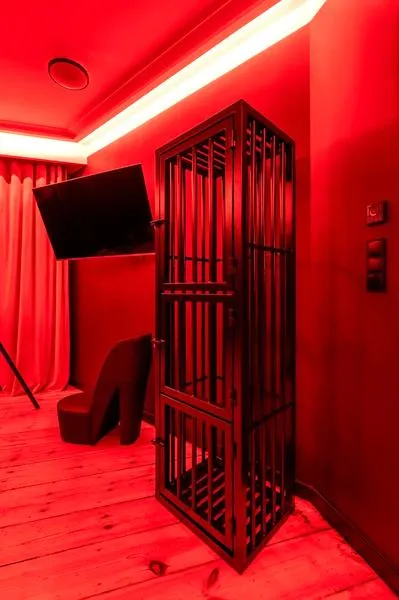 Terapia i BDSM